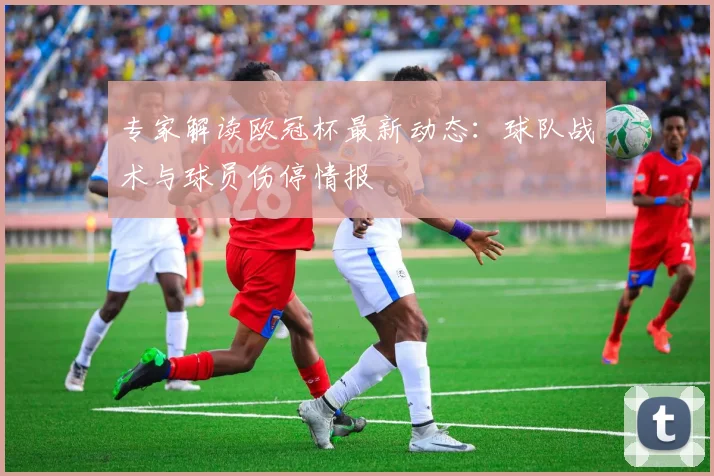 专家解读欧冠杯最新动态：球队战术与球员伤停情报