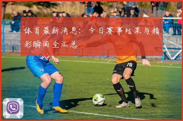 体育最新消息：今日赛事结果与精彩瞬间全汇总