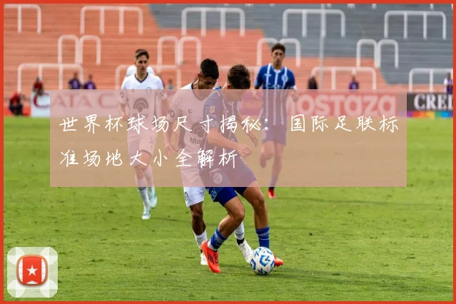 世界杯球场尺寸揭秘：国际足联标准场地大小全解析