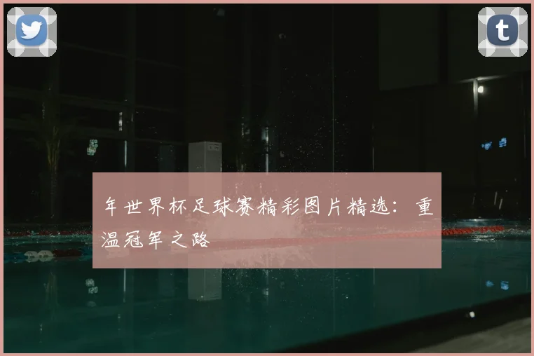 年世界杯足球赛精彩图片精选：重温冠军之路