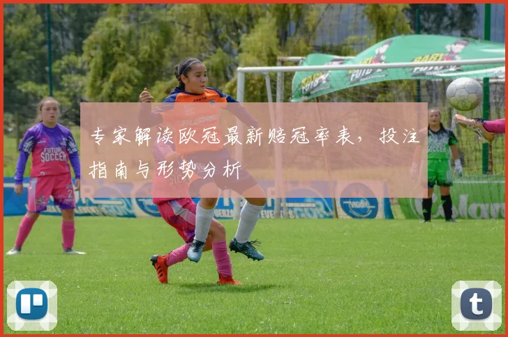 专家解读欧冠最新赔冠率表，投注指南与形势分析