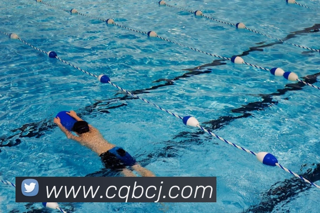 米兰官网app登录入口平台生态图