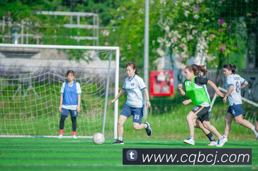 米兰官网app登录入口APP 封面图